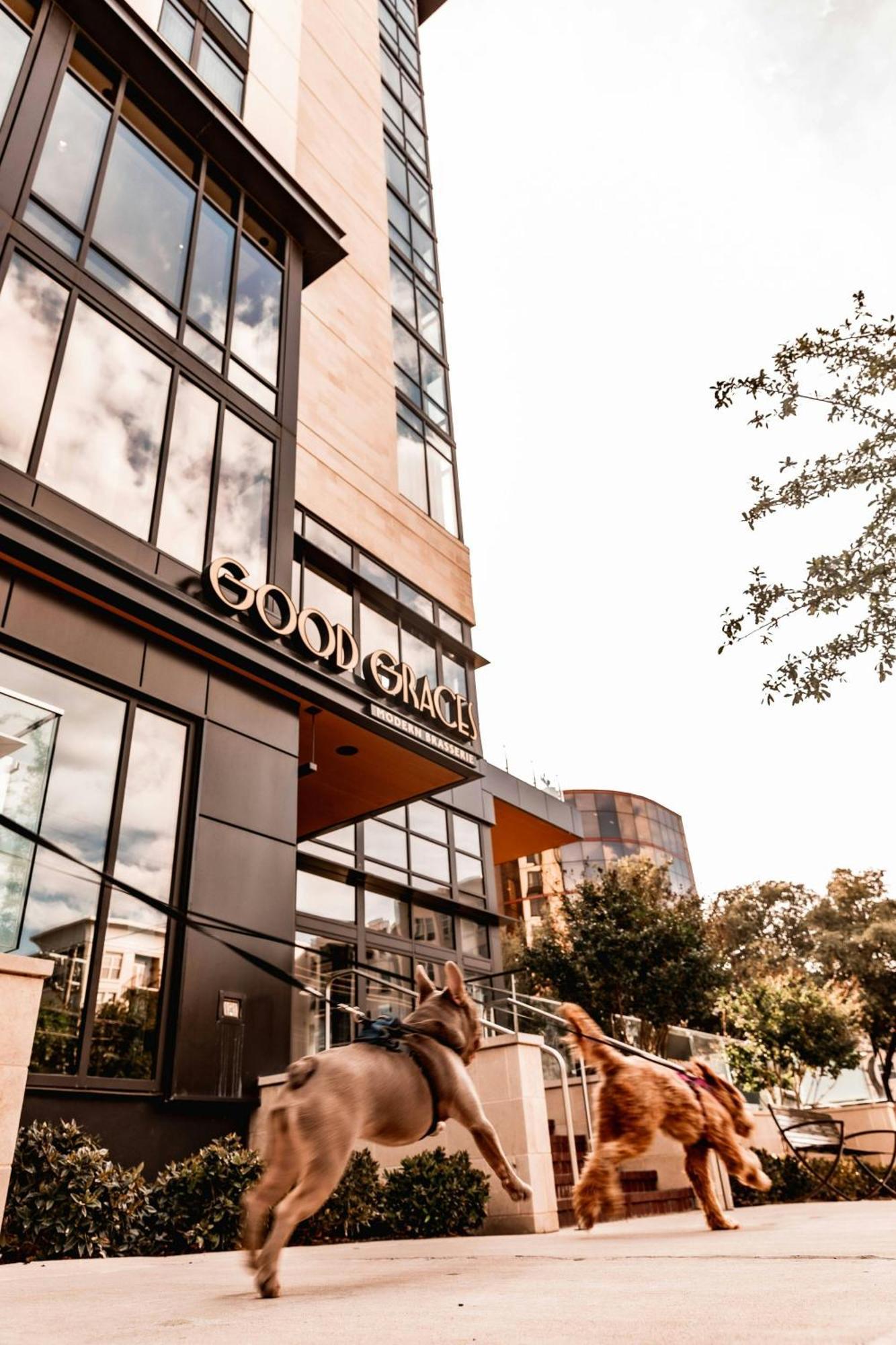 Marriott Dallas Uptown Exteriér fotografie